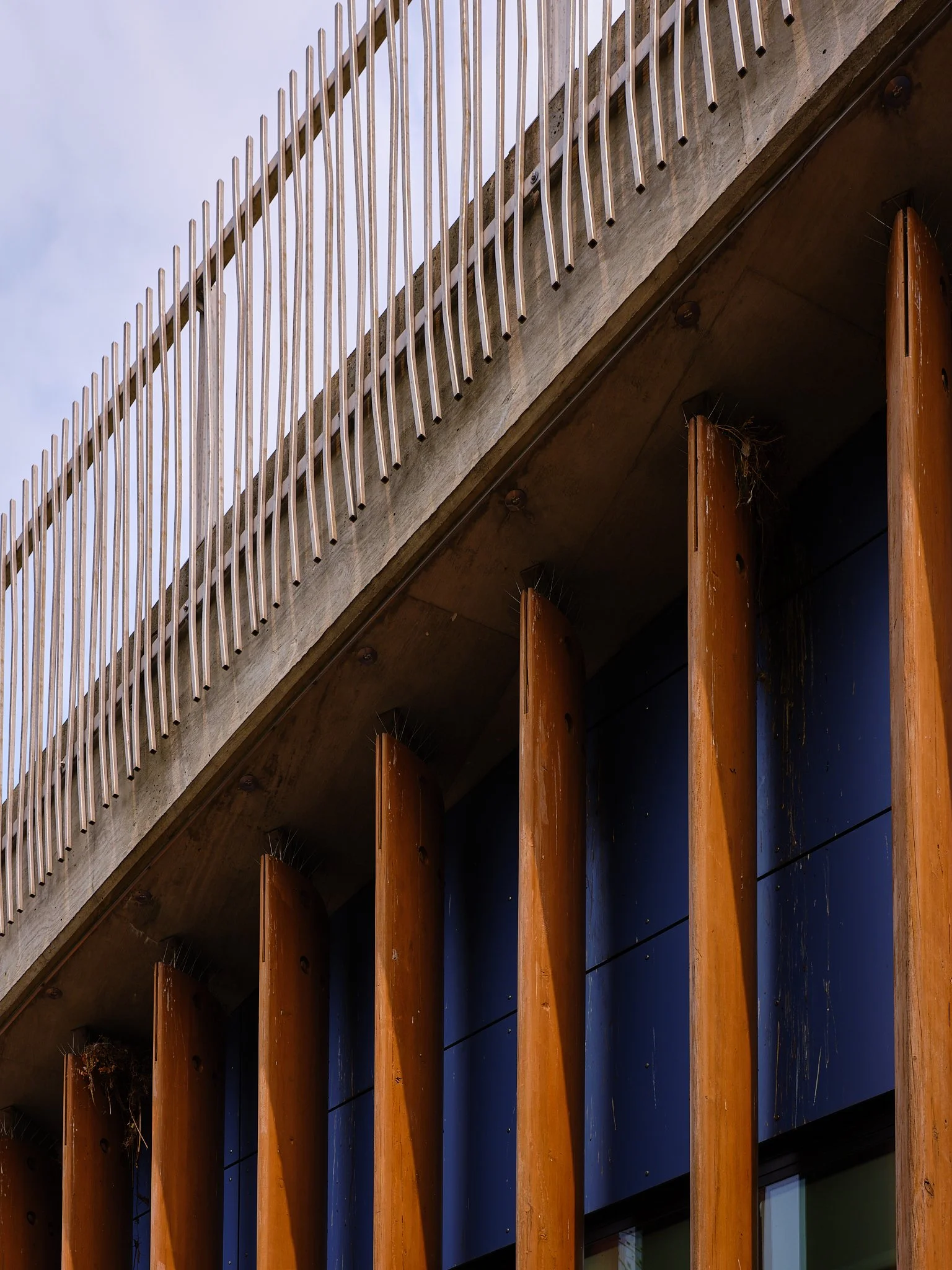 Bird Next Underneath