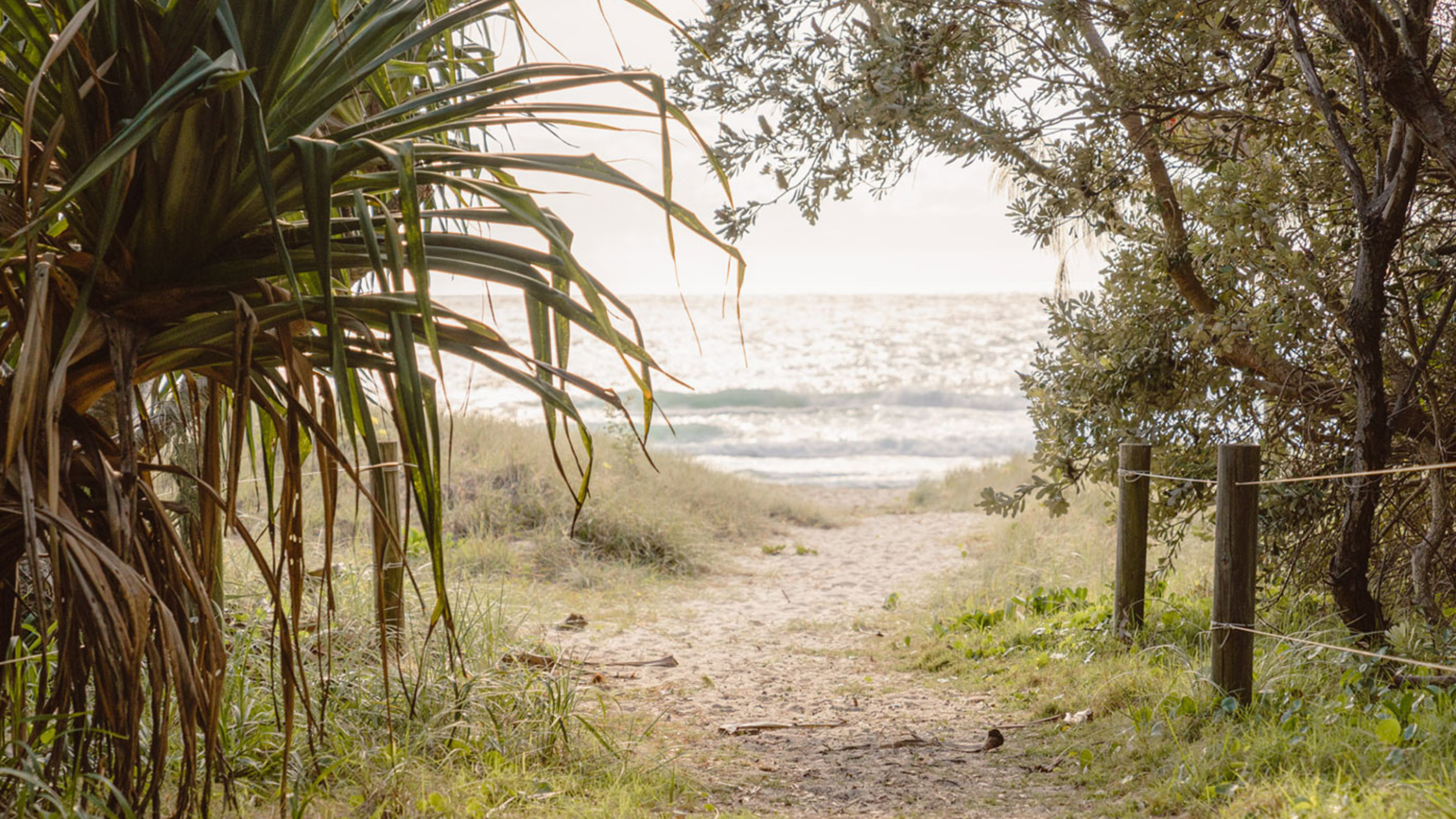 Your Guide to the Perfect Day Trip to Casuarina, NSW&nbsp;