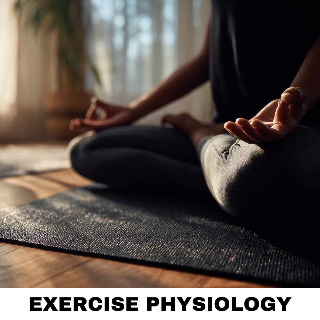 Exercise Physiology Gold Coast.png