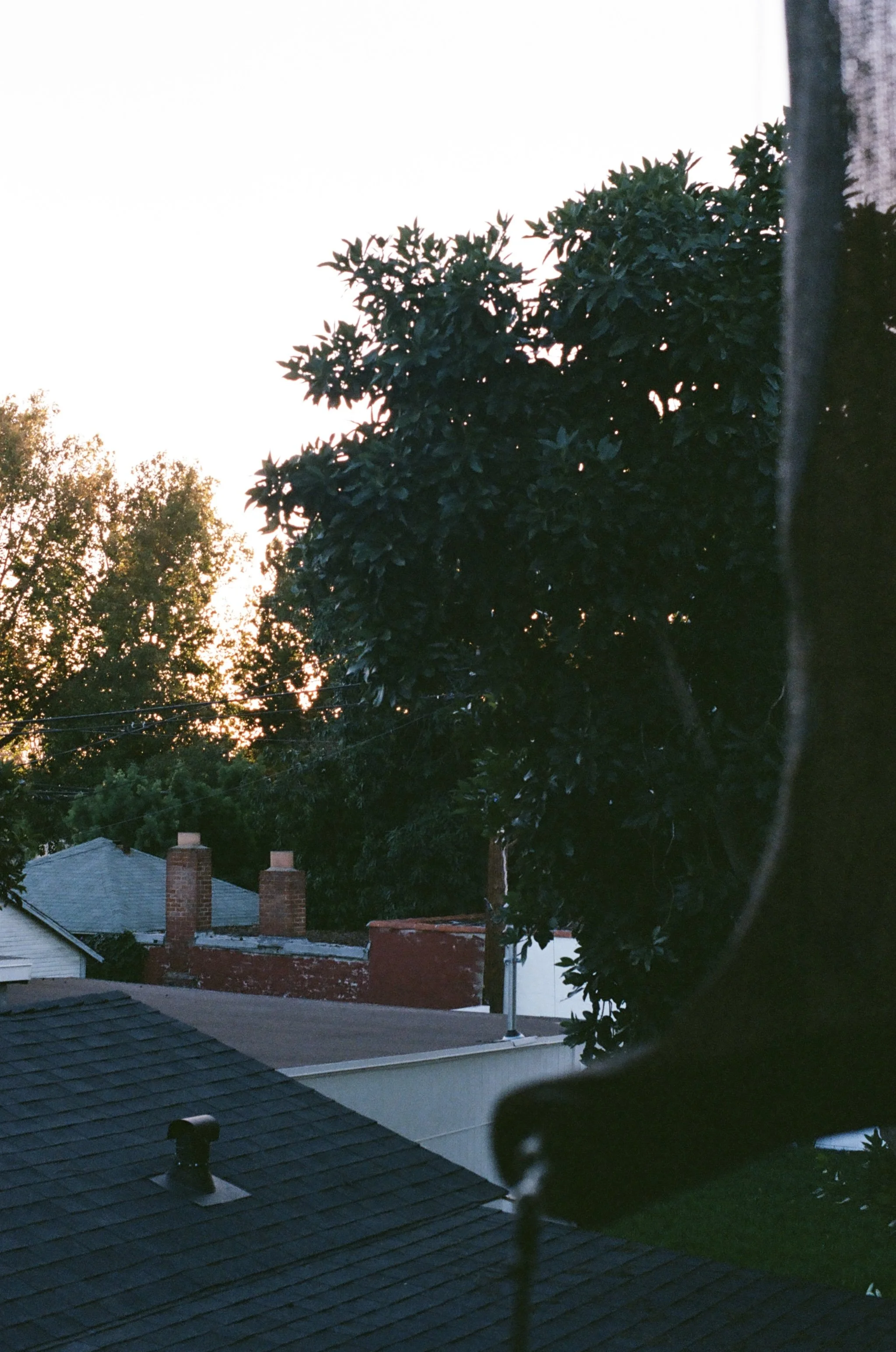 DB12497E-A403-438F-87D3-C3FE0E7722A2.jpeg
