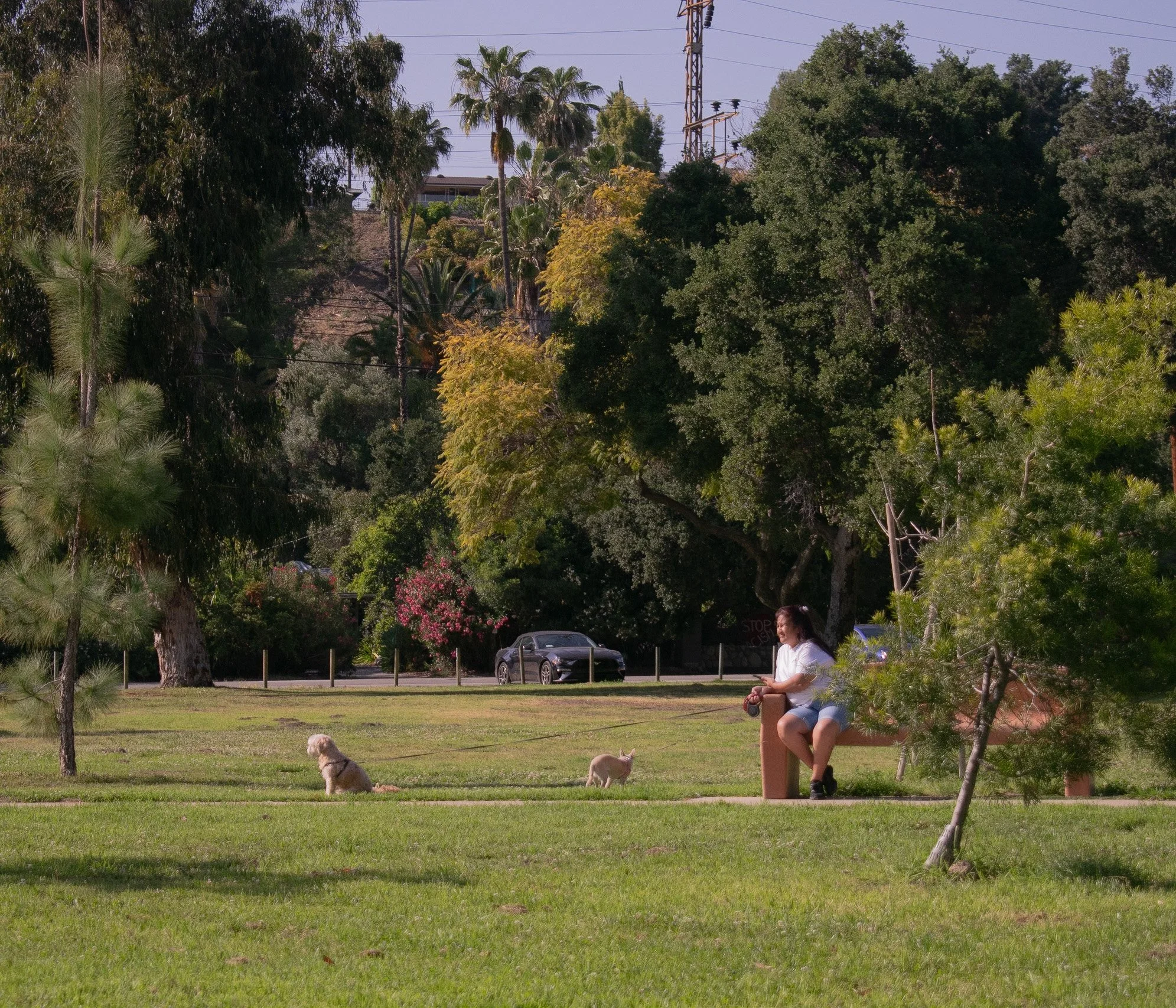 Circle Circles-0501.jpg