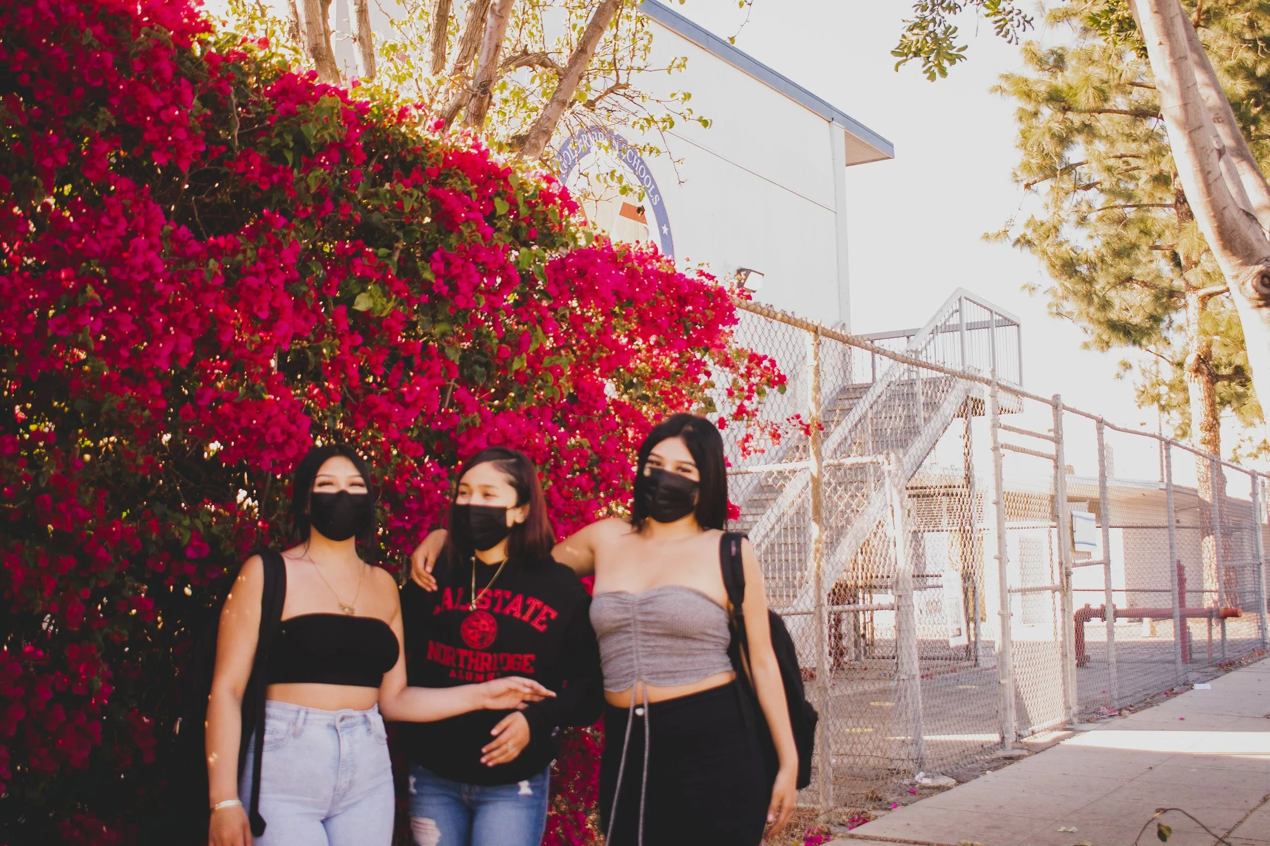 Project 1 Circles Circles-0395.jpg