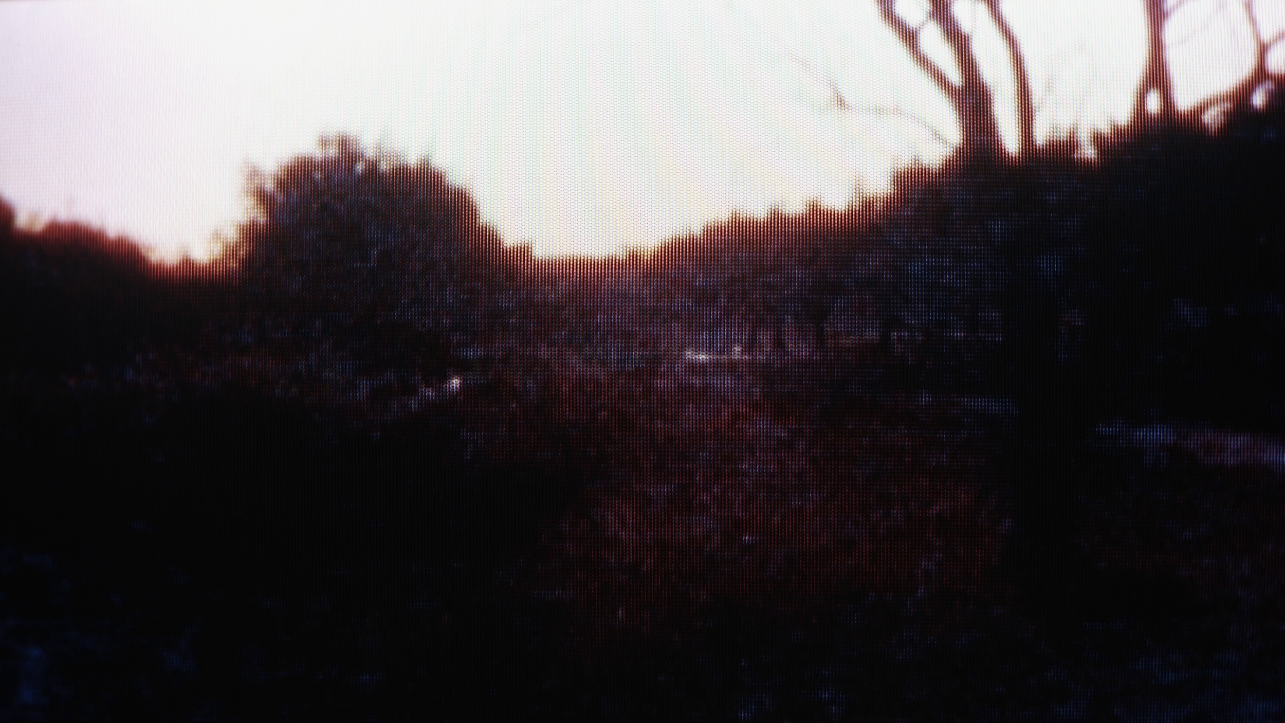 vlcsnap-2025-04-29-17h11m53s674.png