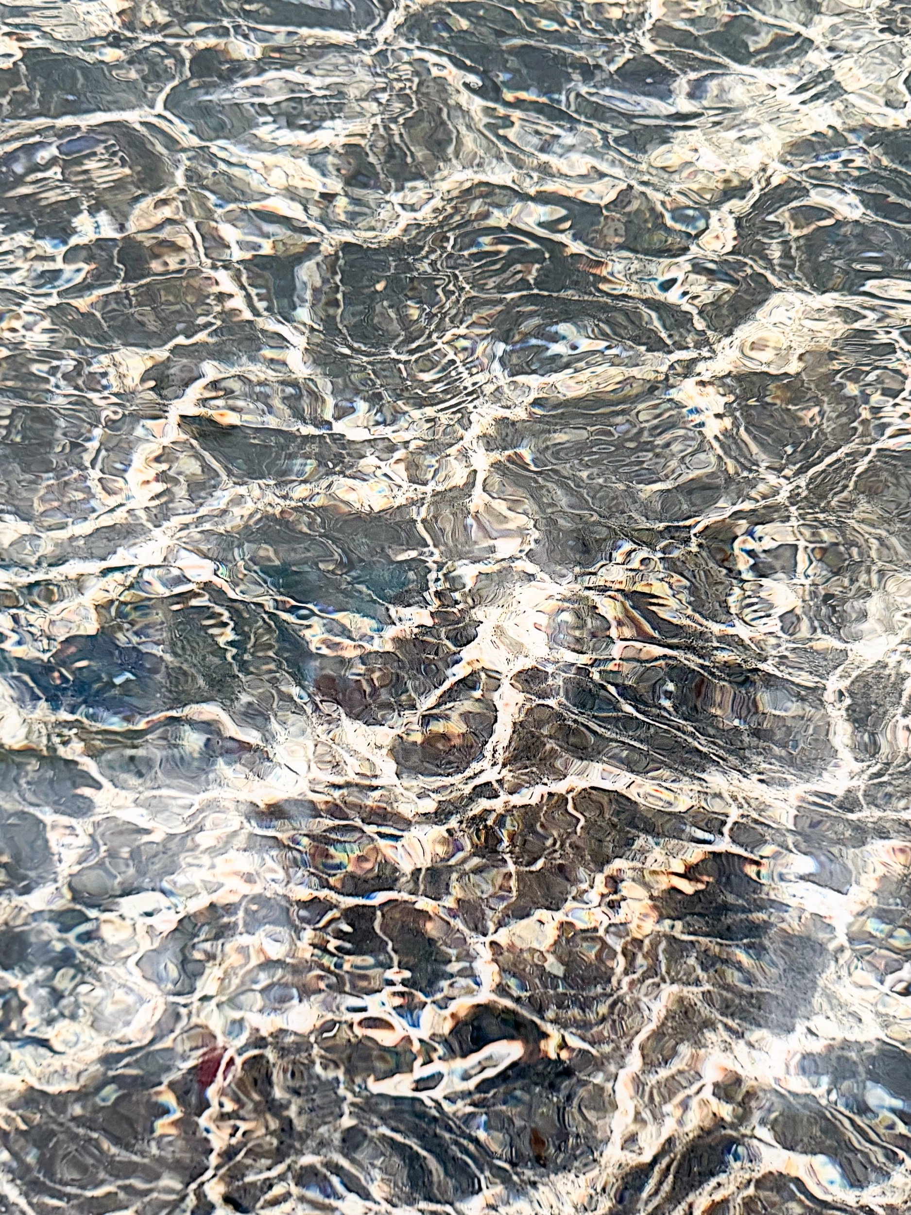 0E74F04A-DE43-4D5A-B008-40A21F64DE45.jpeg