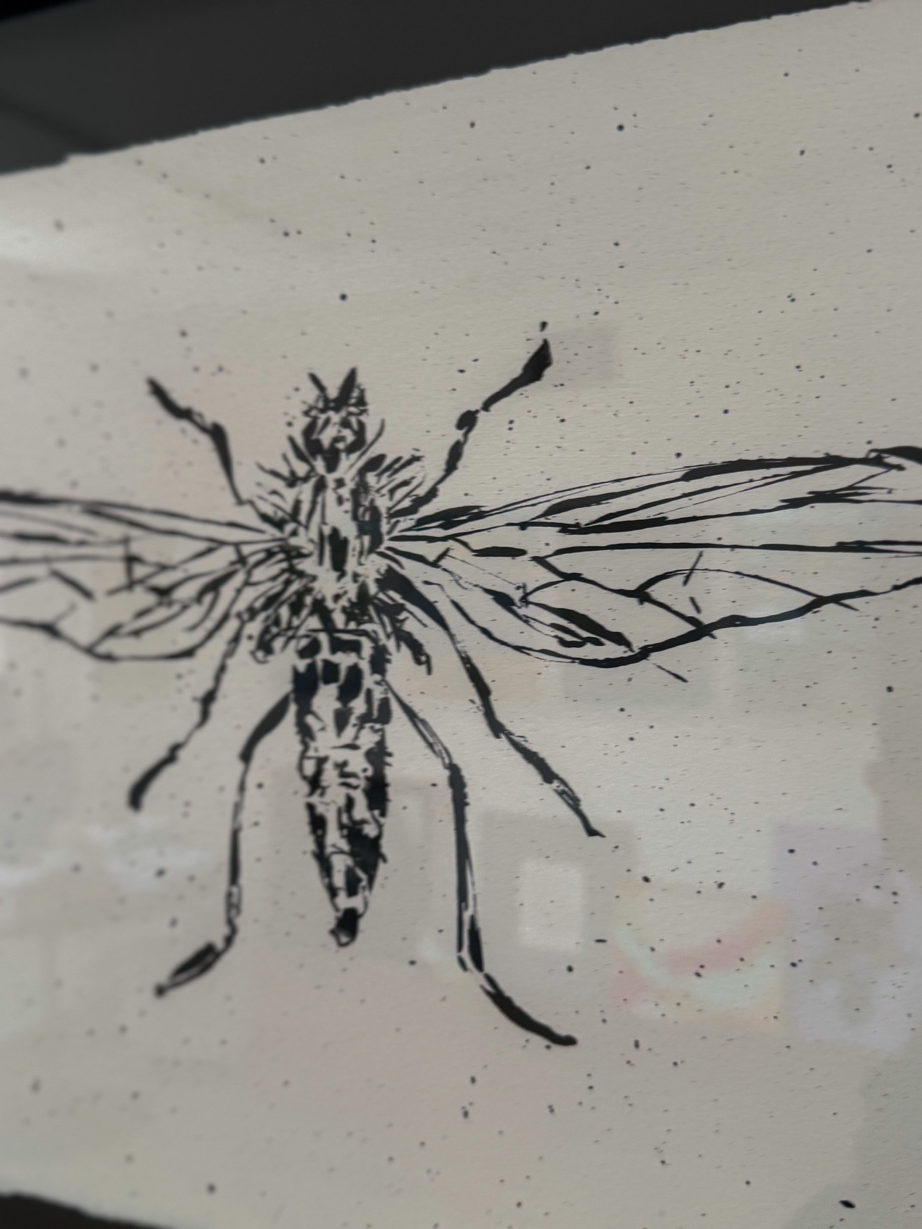 E8E3F18A-2F32-4275-A066-58AF42E7612E.jpeg