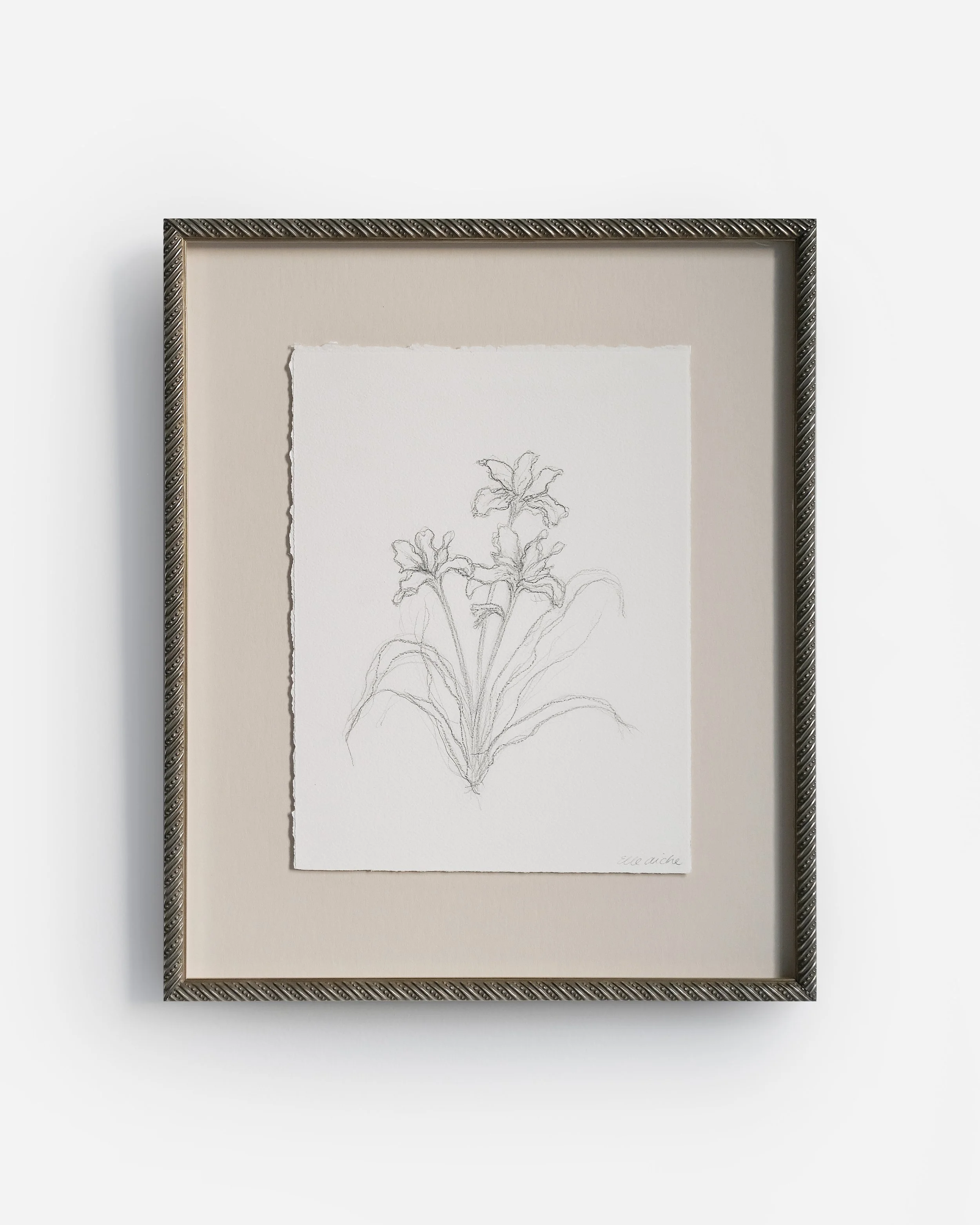"Iris I" by Elle Aiche