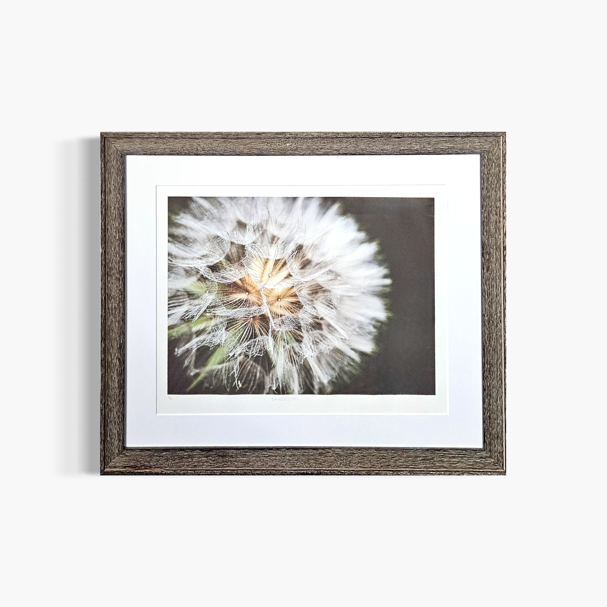 “Dandelion” by Heidi Peters