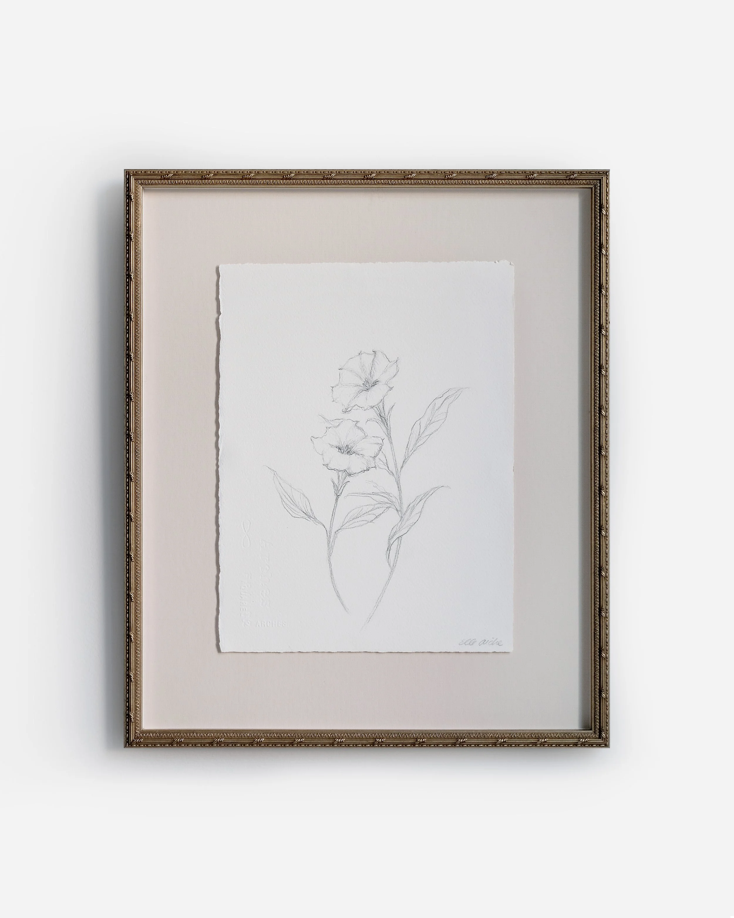 Moon Flower Sketch.jpg