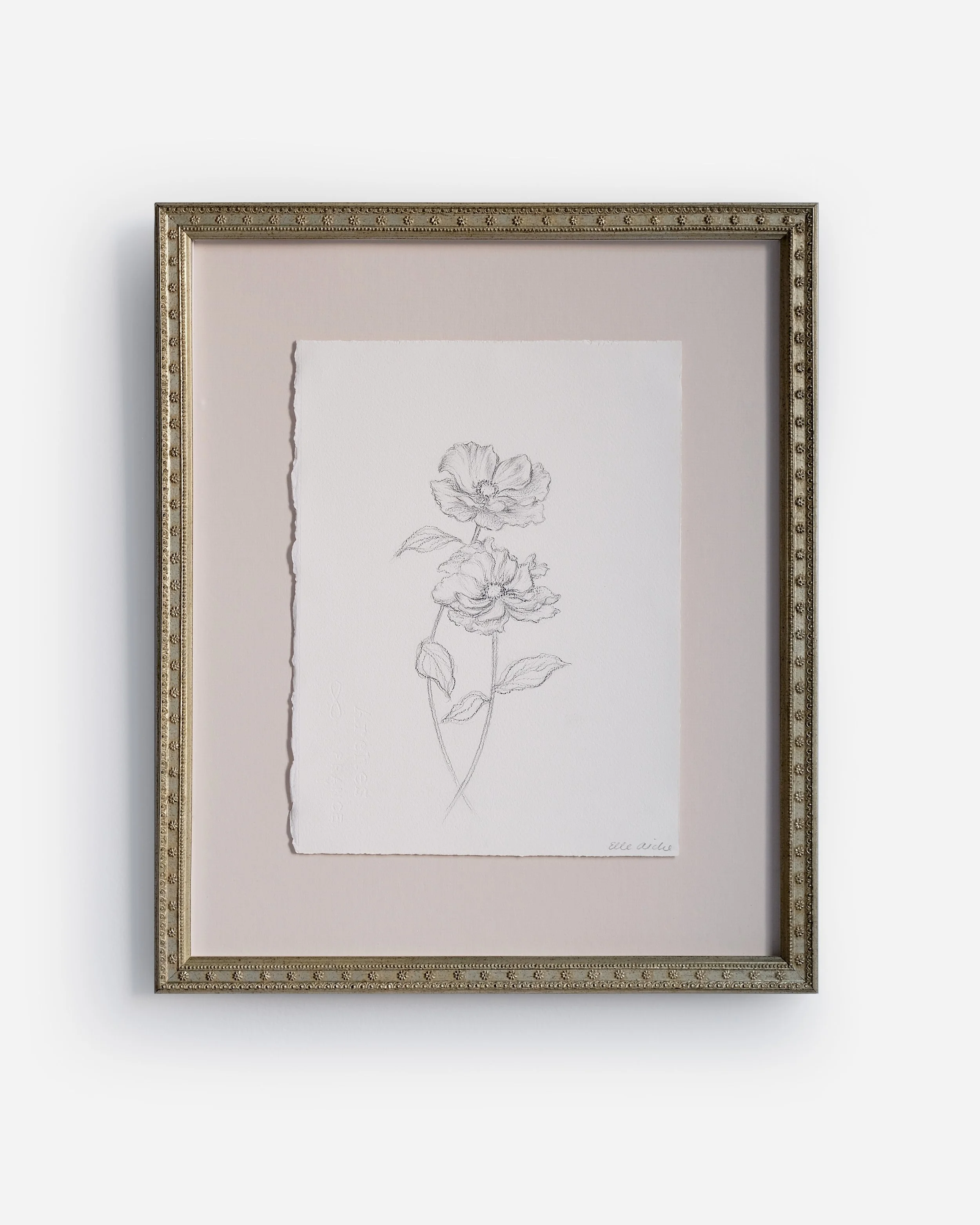 Poppy Floral Sketch.jpg