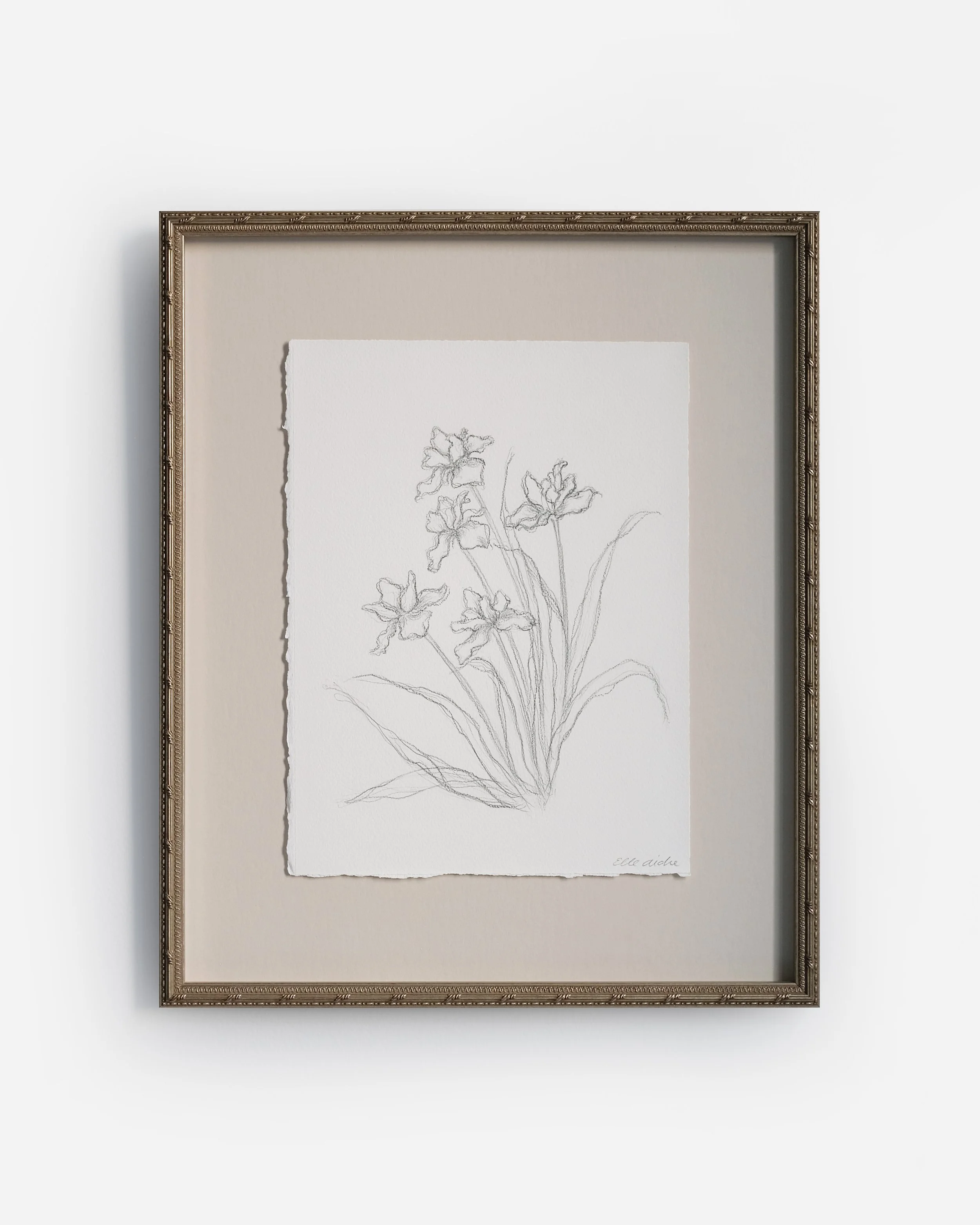 Iris Sketch II.jpg