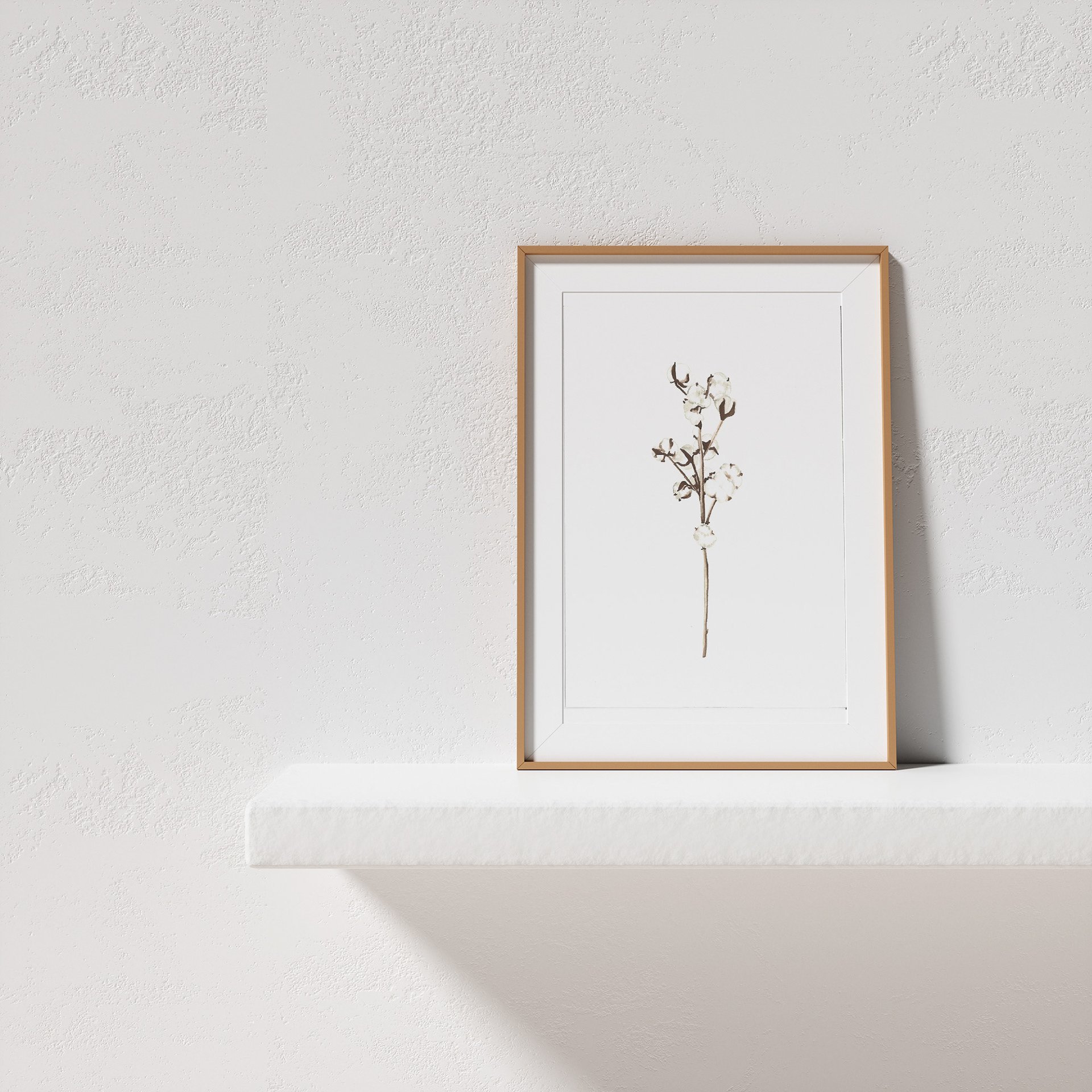 Cotton - Limited Edition Print