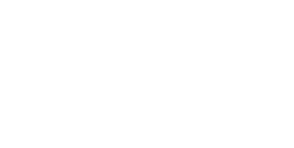 Black and white logo of the Petz brand with bold, stylized text inside an oval outline.