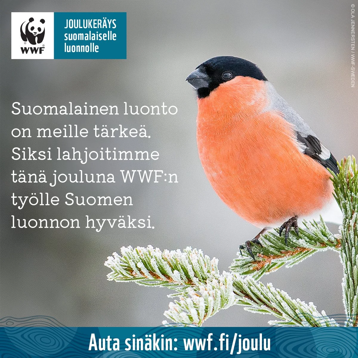 Suomen luonto on osa suomalaista kulttuuria ja arvo, jota haluamme vaalia. Meille suomalaisena yrityksen&auml; luonto on korvaamaton osa identiteetti&auml;mme ja kulttuuriamme. Mets&auml;t, j&auml;rvet ja saaristot eiv&auml;t ole vain maisemia &ndash