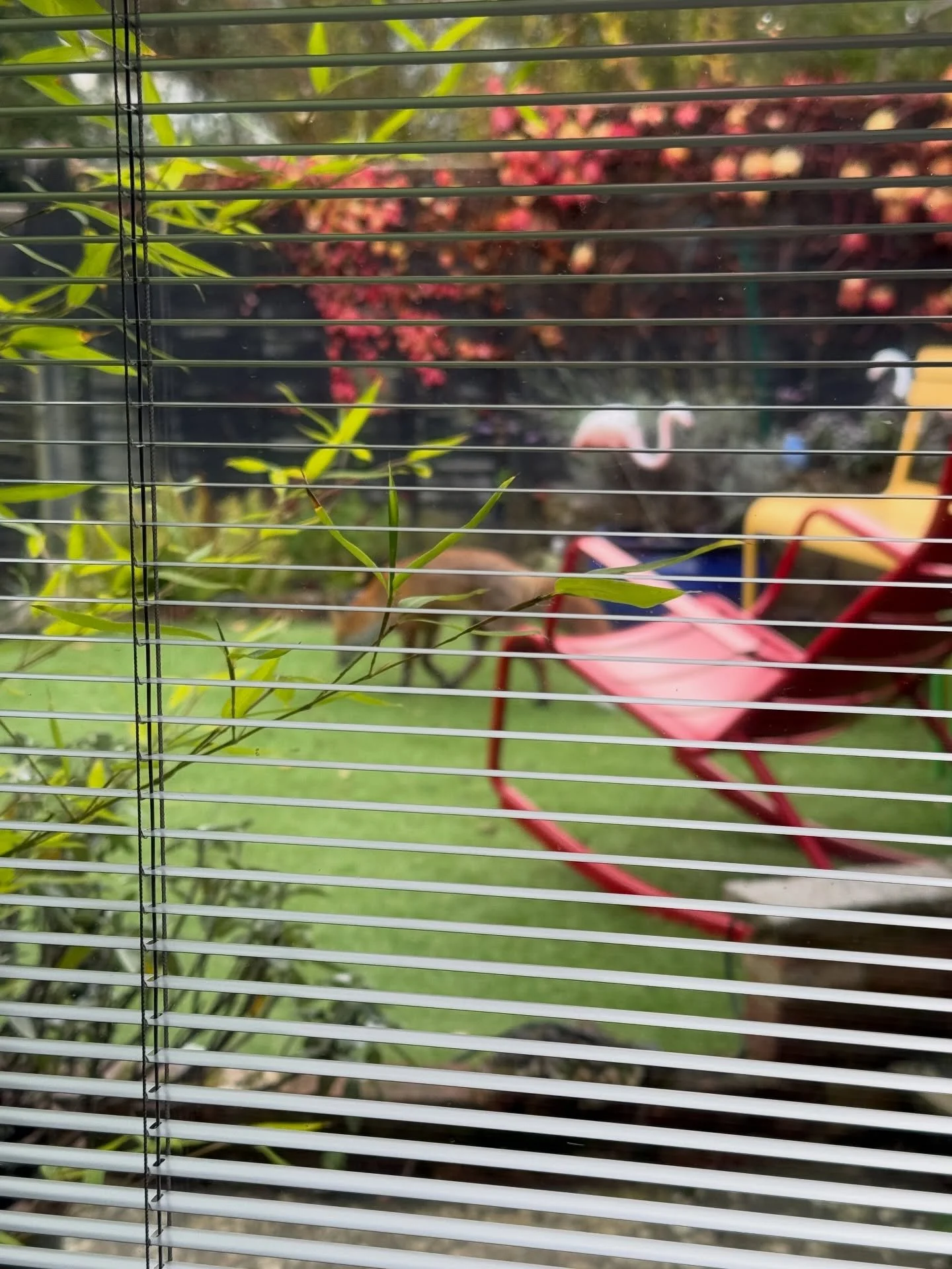 It&rsquo;s Monday morning and it&rsquo;s still January - officially the longest month of the year. Things feel grey, dark, cold and heavy.  What&rsquo;s to be done?

If your mood right now is an overriding low one, where things feel bleak and the yea