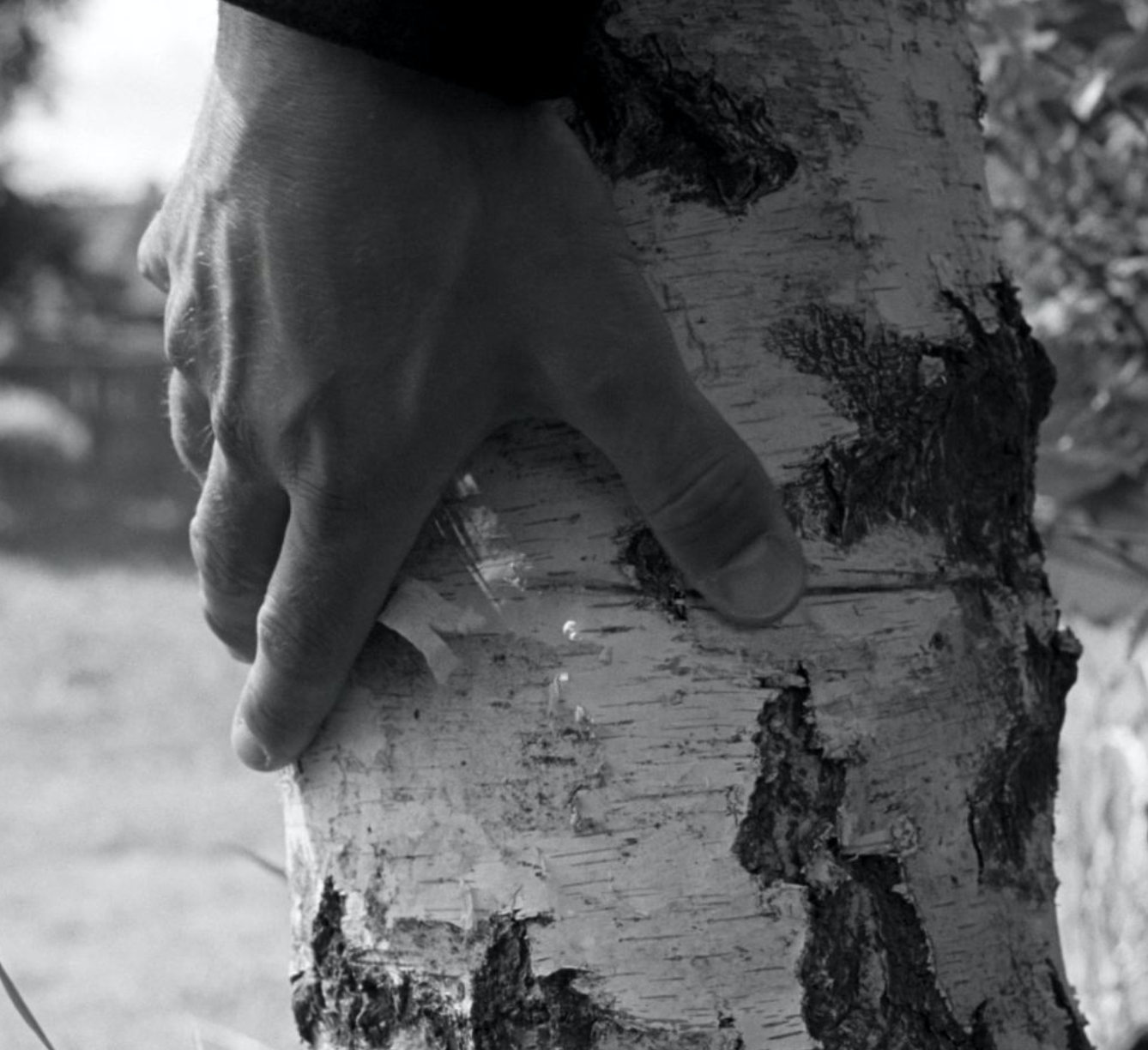 Screenshot 2026-04-13 at 11.49.22.png