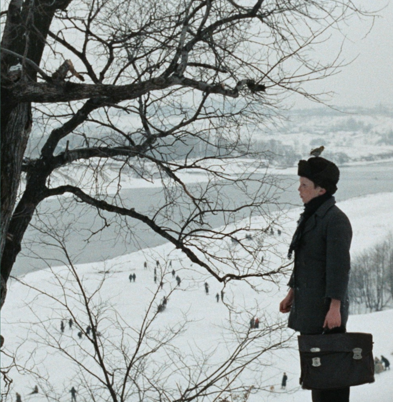 Screenshot 2026-04-13 at 11.49.41.png