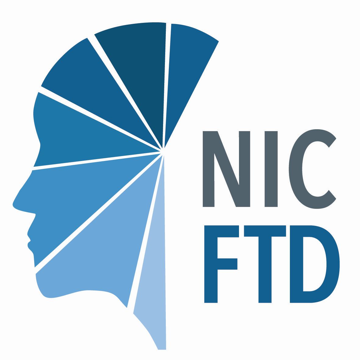 NIC-FTD