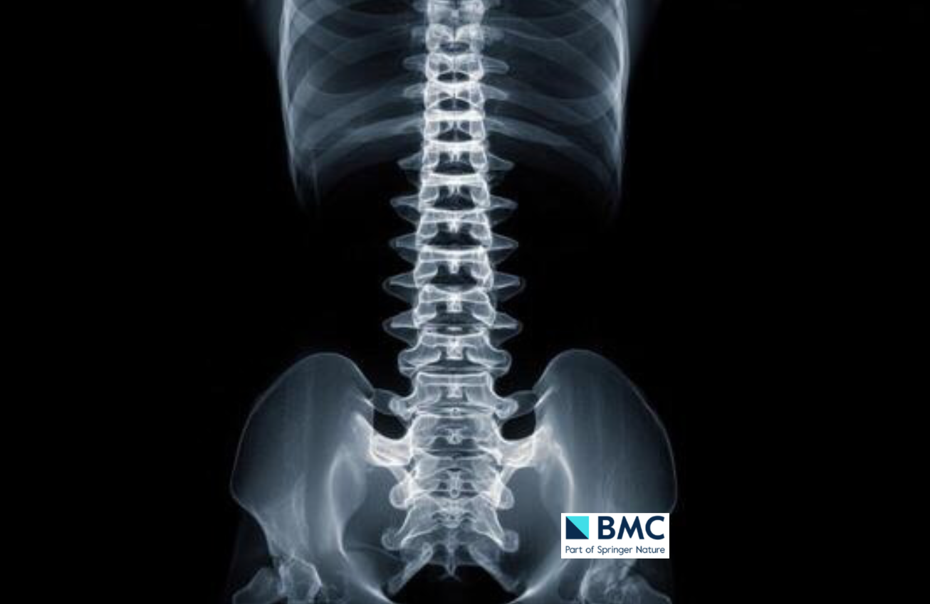 Can AI help us measure muscle health?