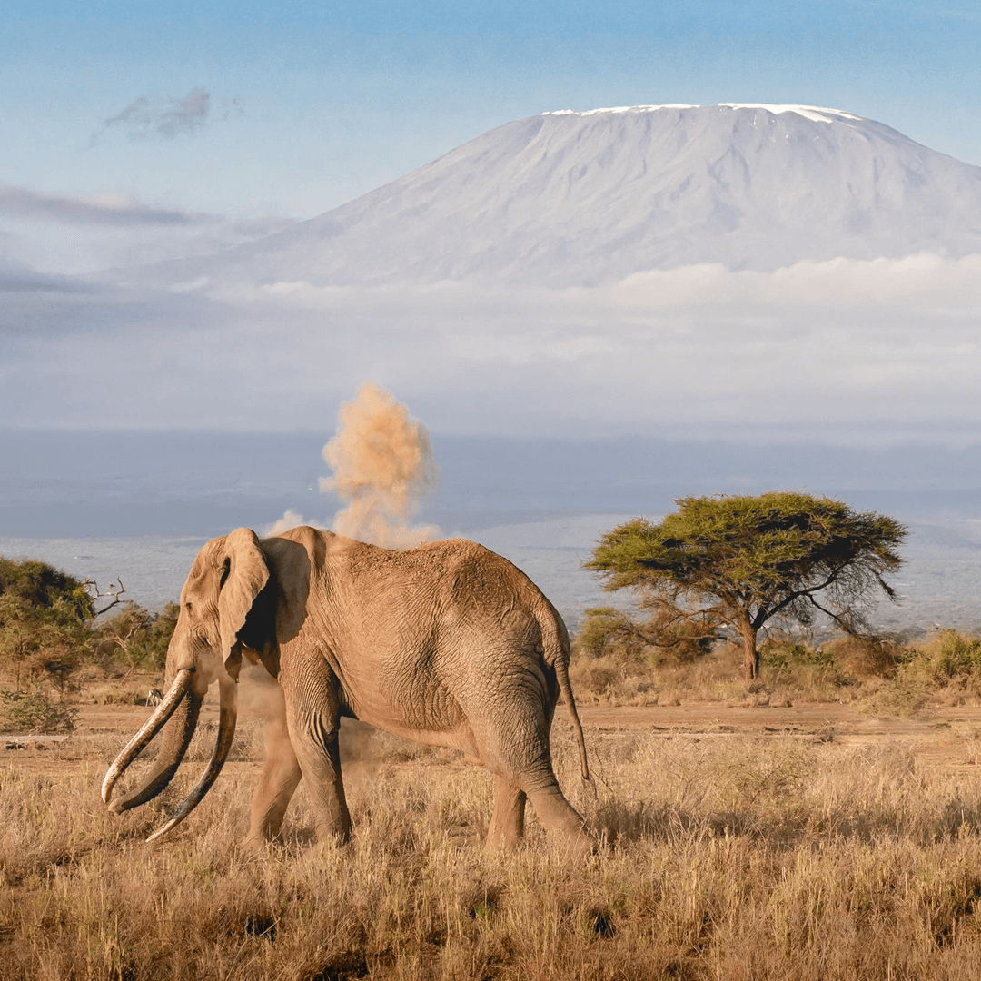 7 Essential Tips for Sustainable Travel Video Production