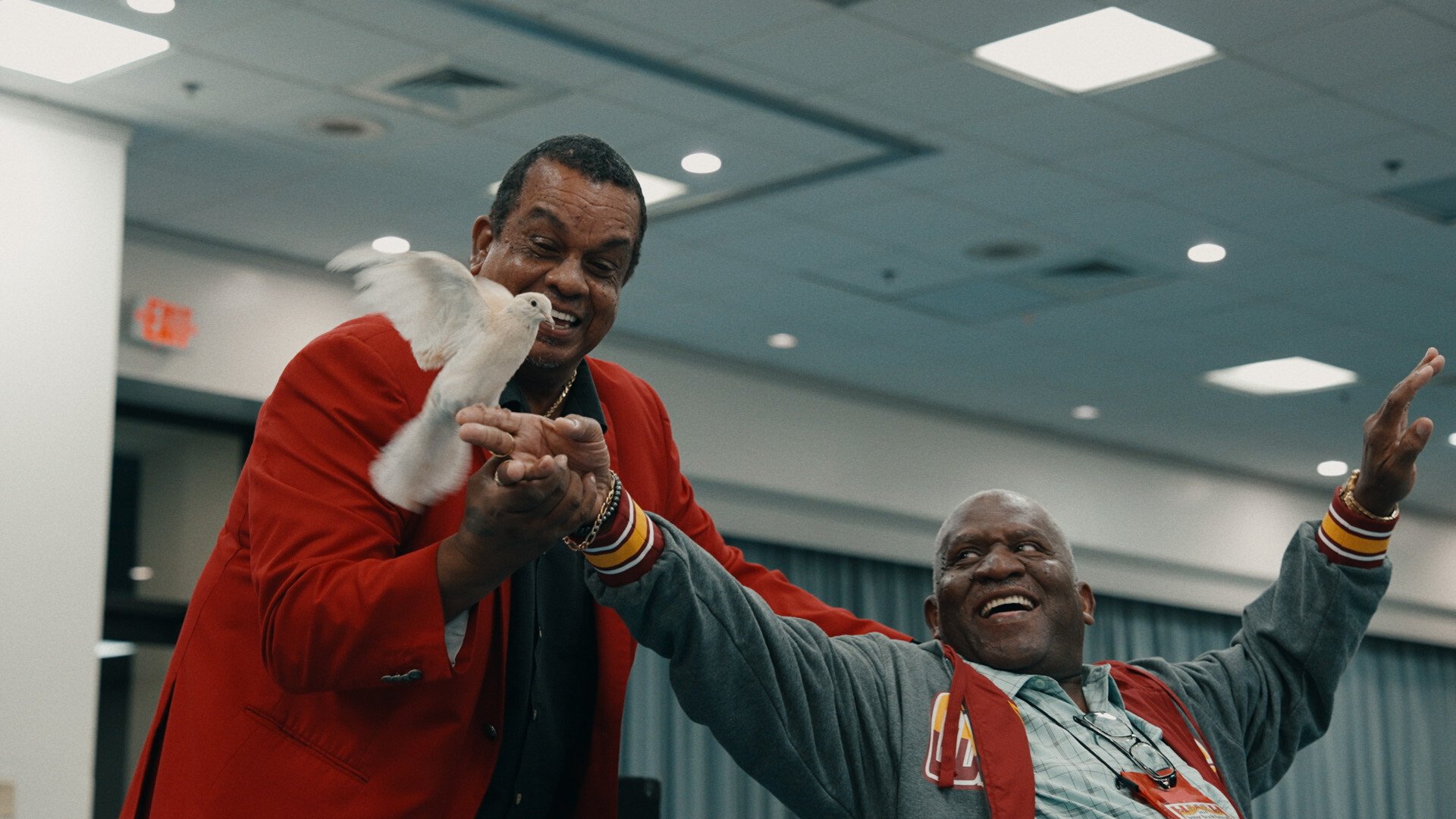 Houdini II: A Beautiful Day to Die