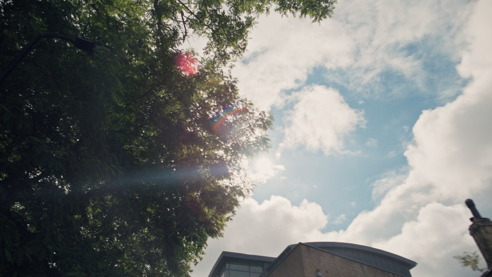 Photo 5 mornign_glory.00_00_24_18.Still004.jpg