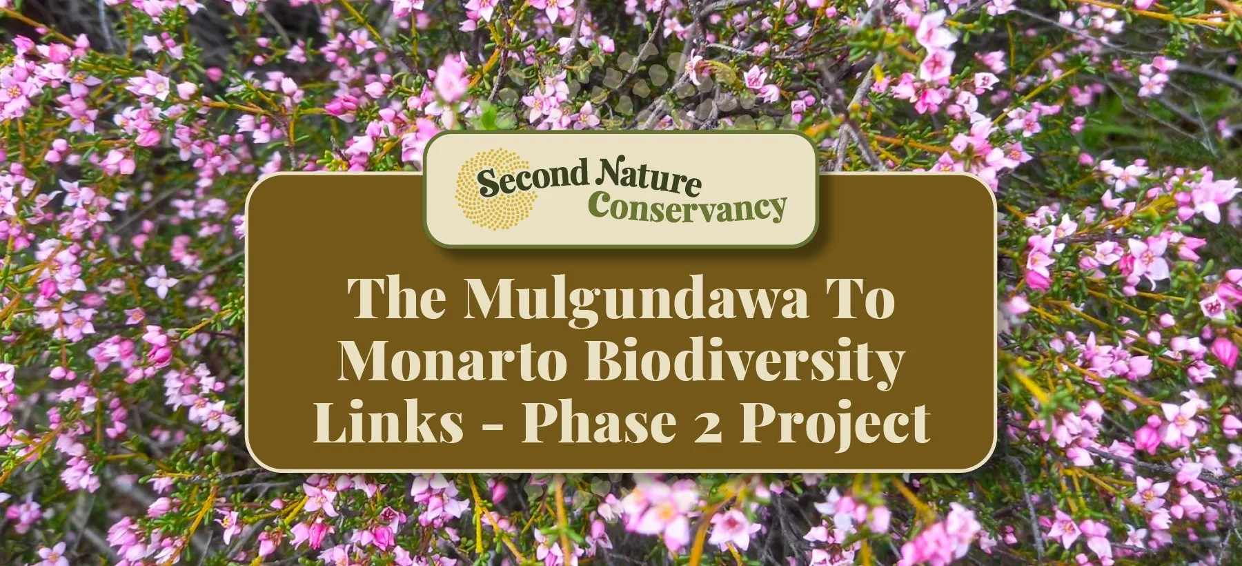 Mulgundawa To Monarto Biodiversity Links - Phase 3 Nature Project