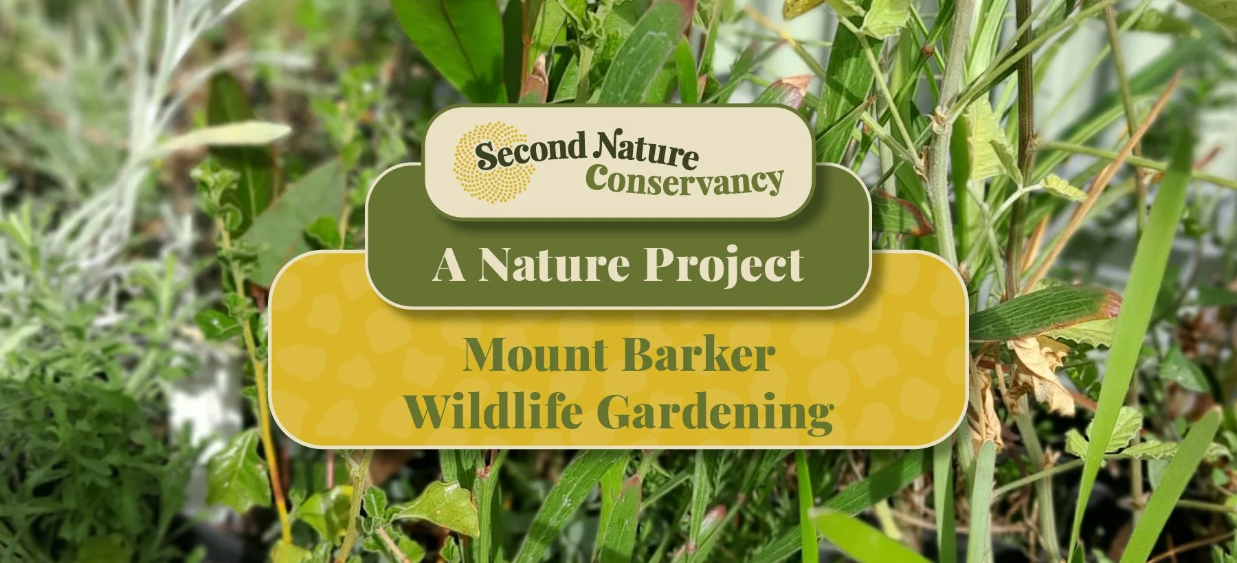 Mount Barker Wildlife Gardening Project