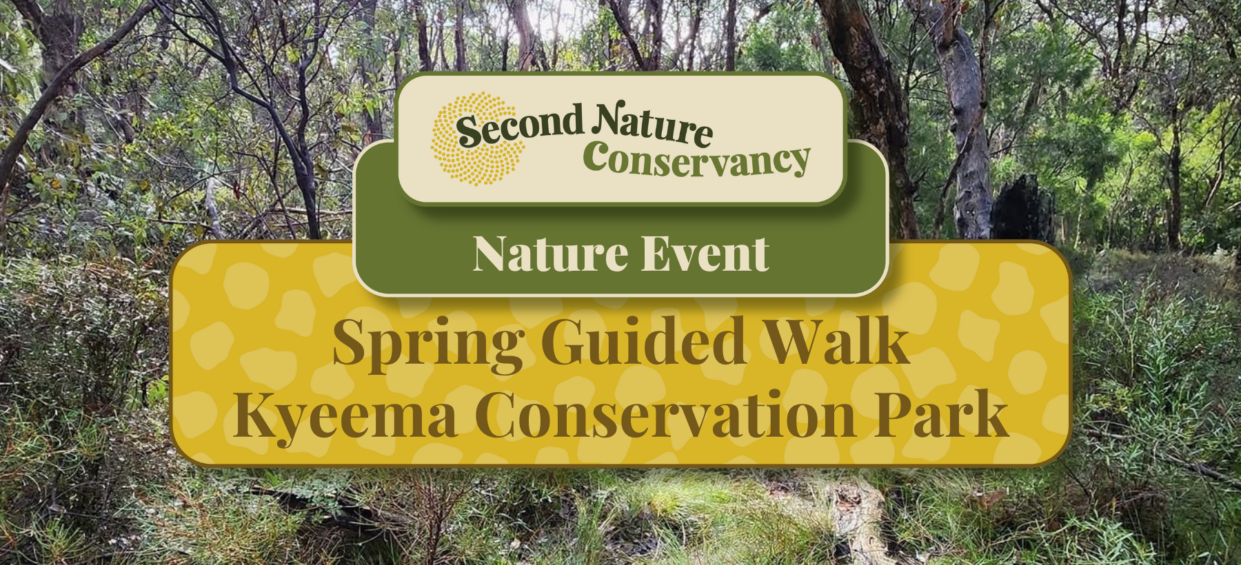 Spring Walk @ Kyeema Conservation Park