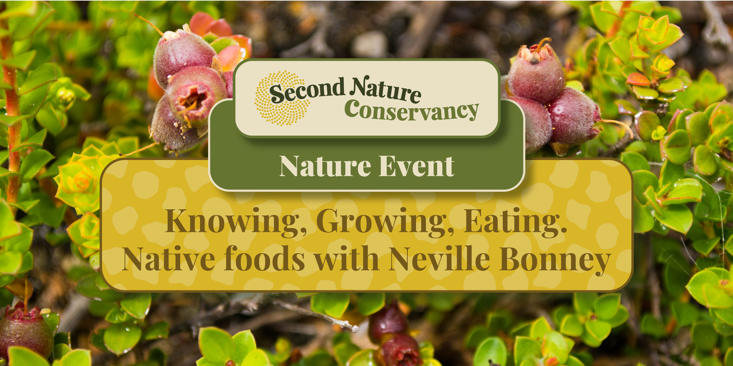 Knowing, Growing, Eating. Native Foods with Neville Bonney.