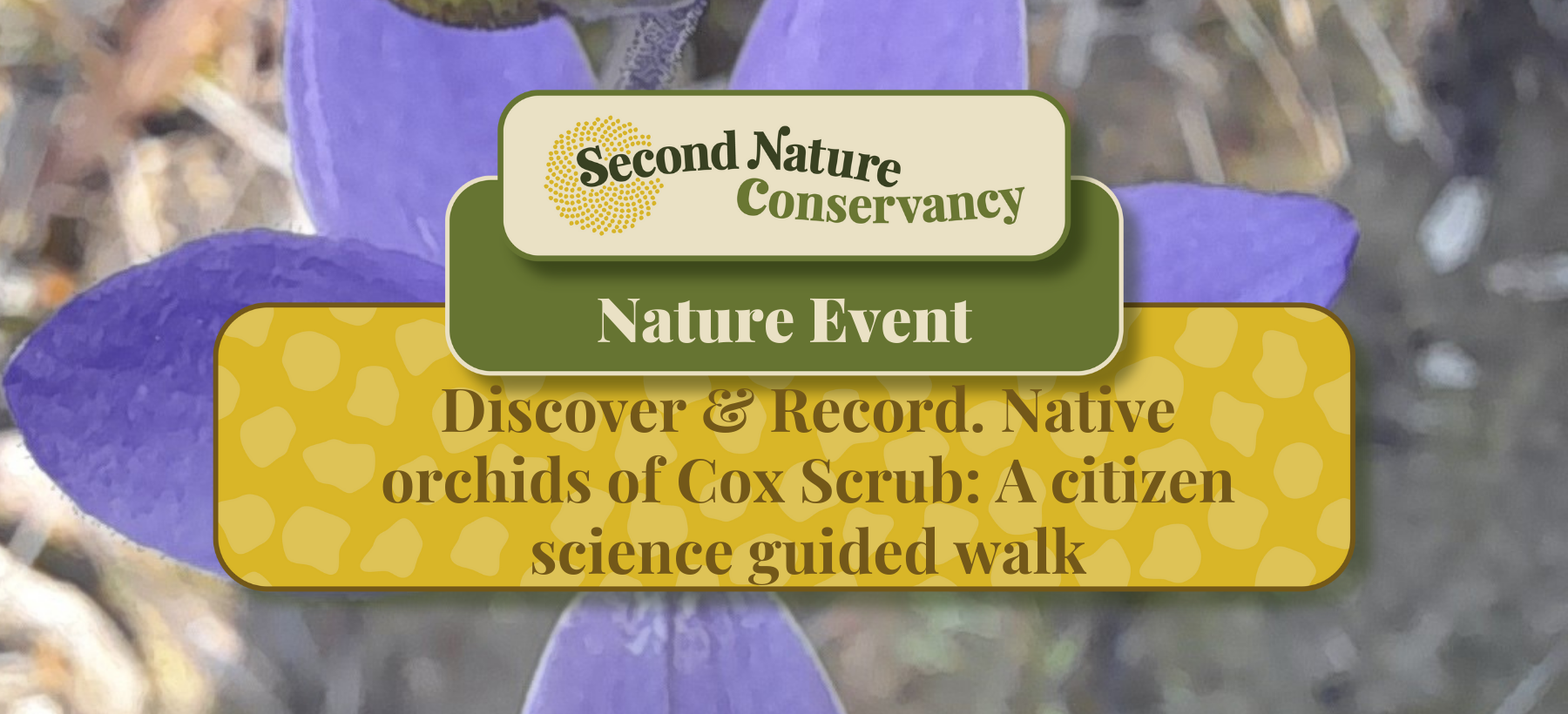 Discover and Record - Native Orchids of Cox Scrub. A citizen science guided walk.