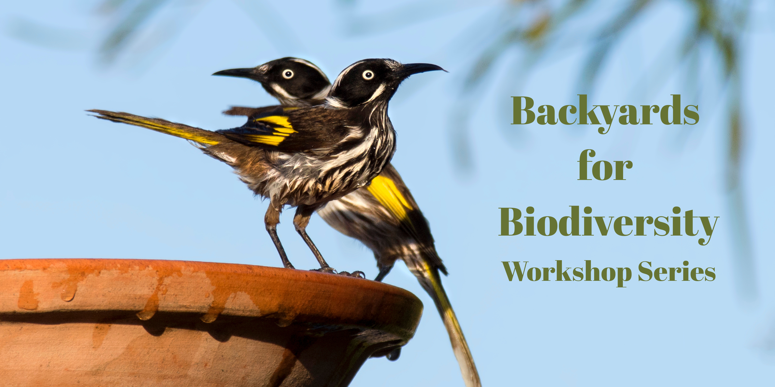 Backyards for Biodiversity Workshop Series