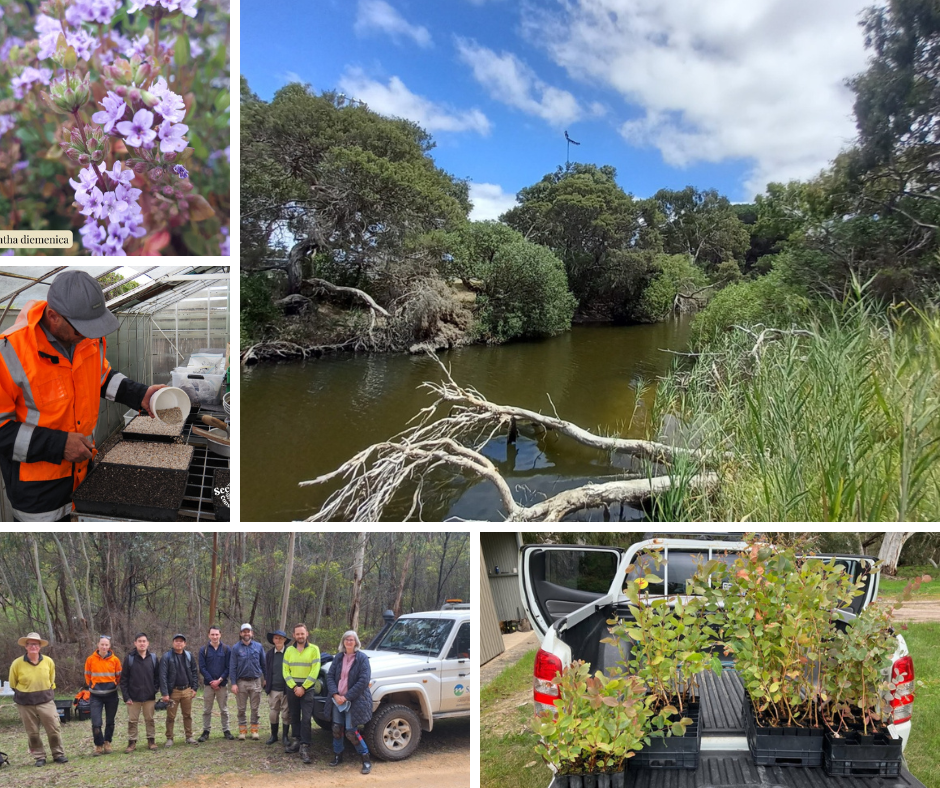 Top 5 Stories of 2025