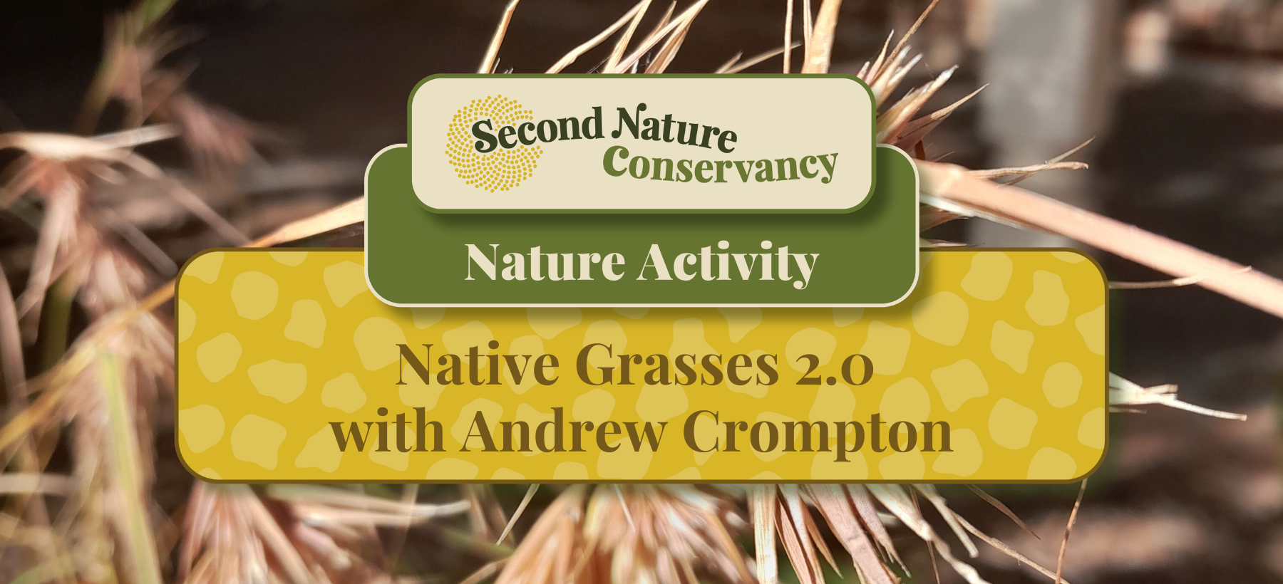 Native Grasses 2.0 with Andrew Crompton
