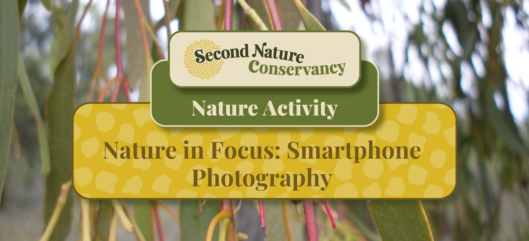 Nature in Focus: Port Elliot