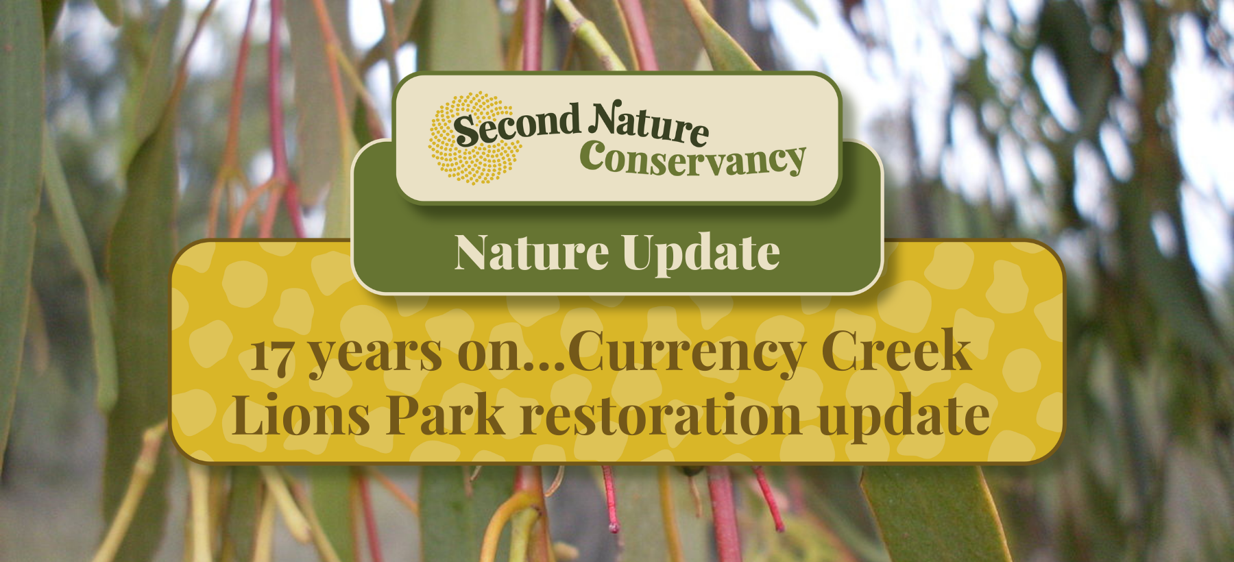 17 years on…Currency Creek Lions Park restoration update