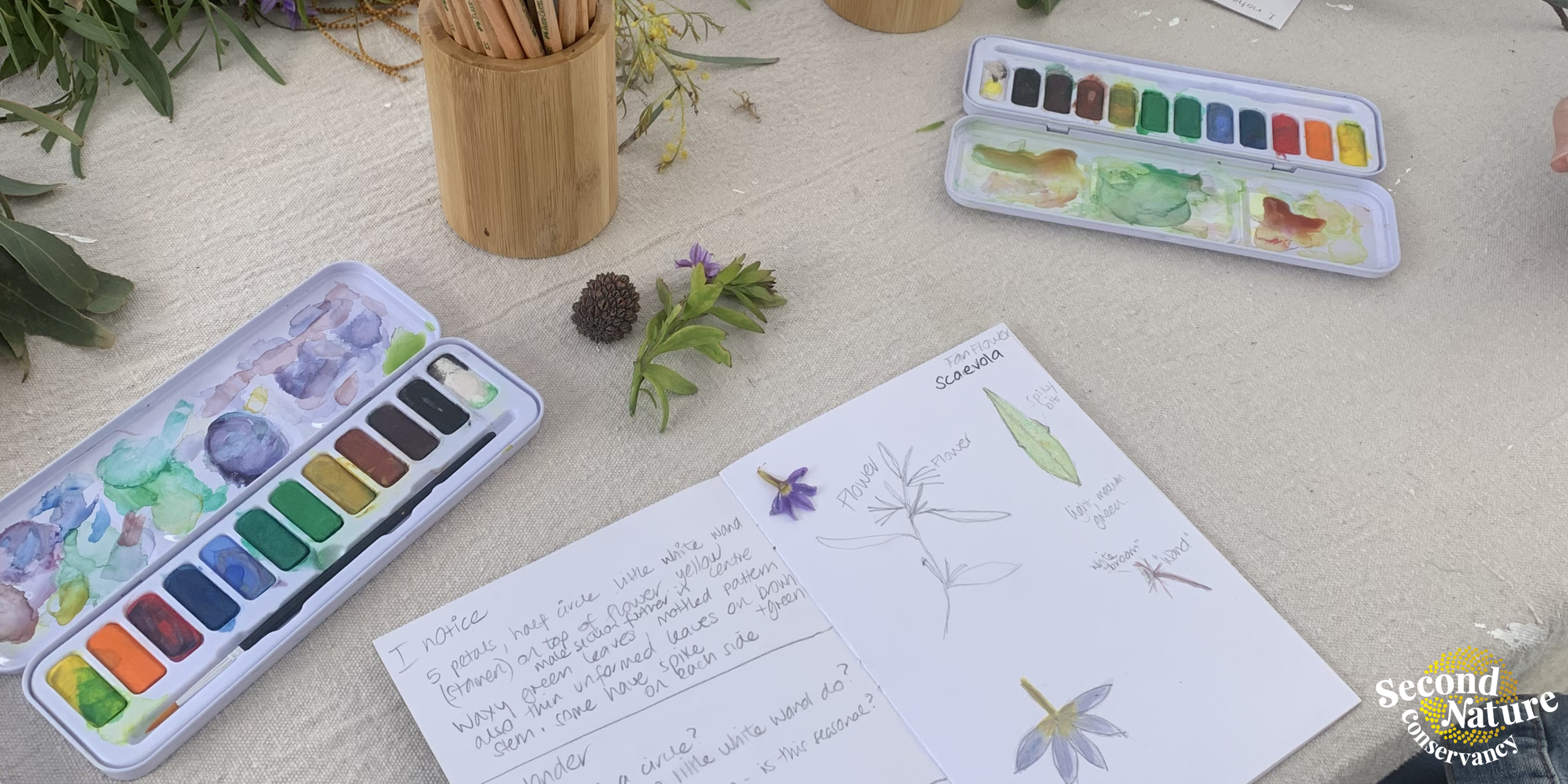 Nature Journaling for Kids