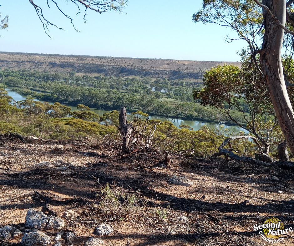 Property Visit Update – Mulgundawa to Tungkillo Biodiversity Links