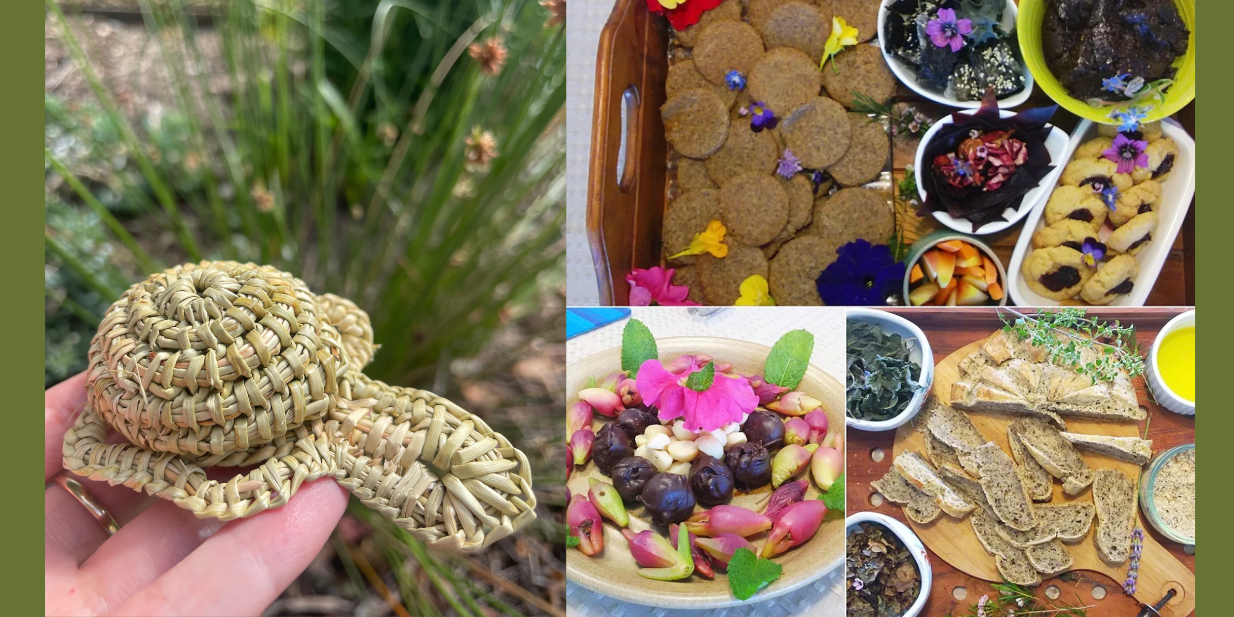 Freshwater Turtles on Country: Weaving, Culture &amp; Conservation