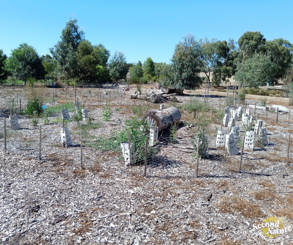 Biodiversity Rings in Mount Barker