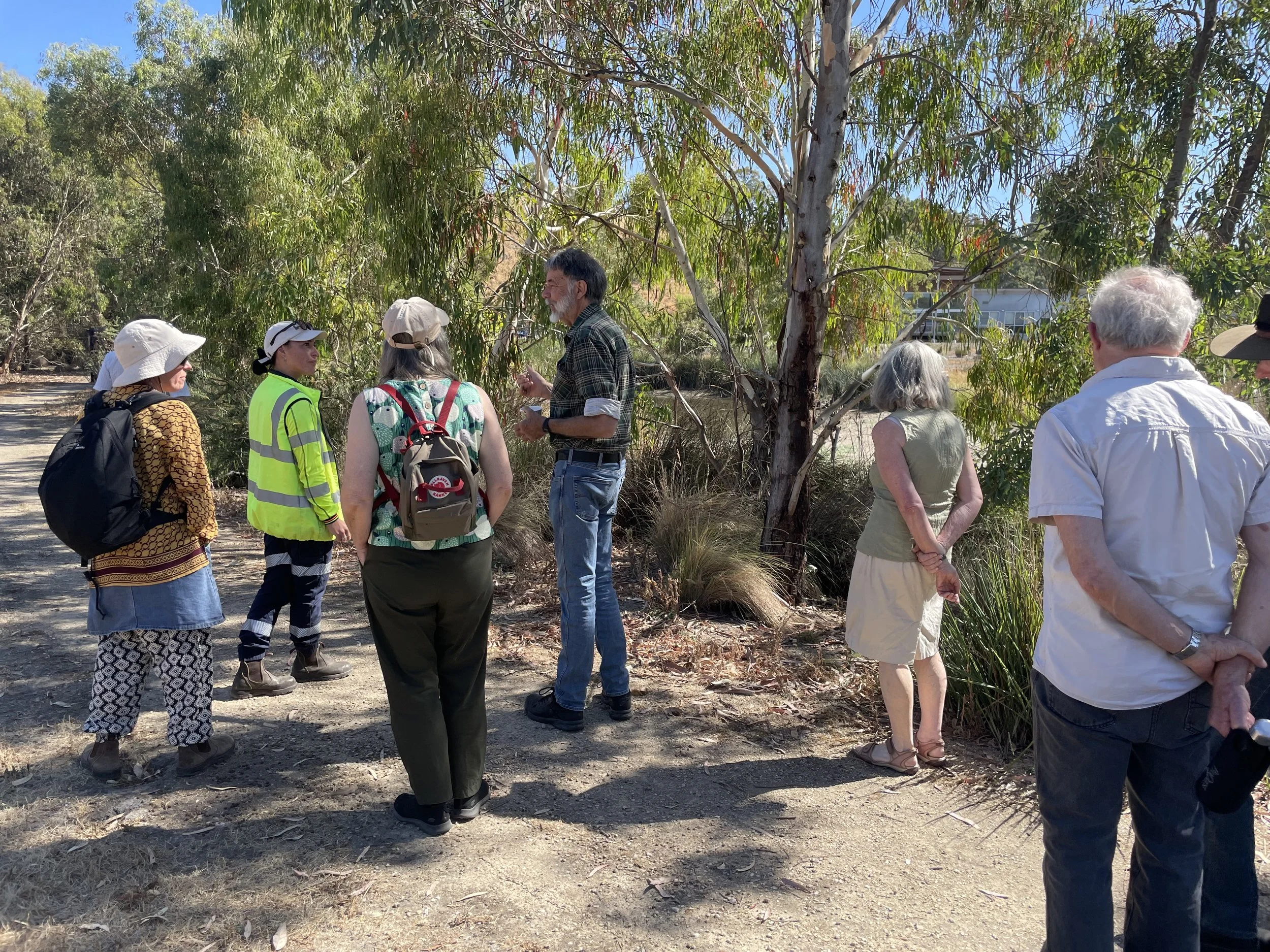 Turtle power in Mount Barker!