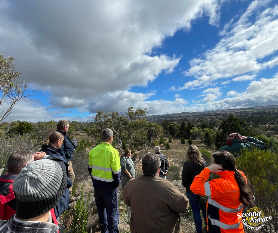Rockleigh Biodiversity Workshop Wrap Up