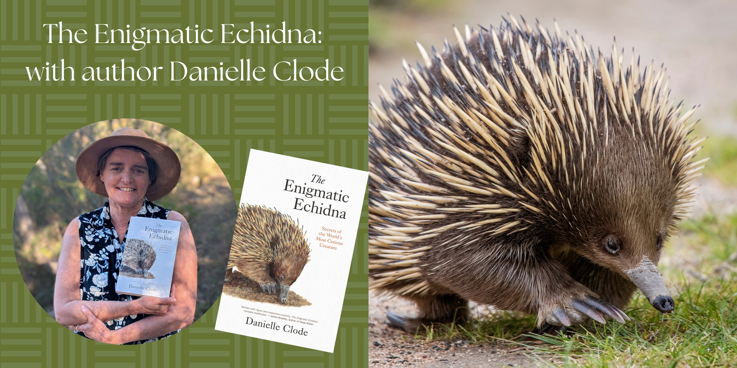The Enigmatic Echidna: An Afternoon with Danielle Clode