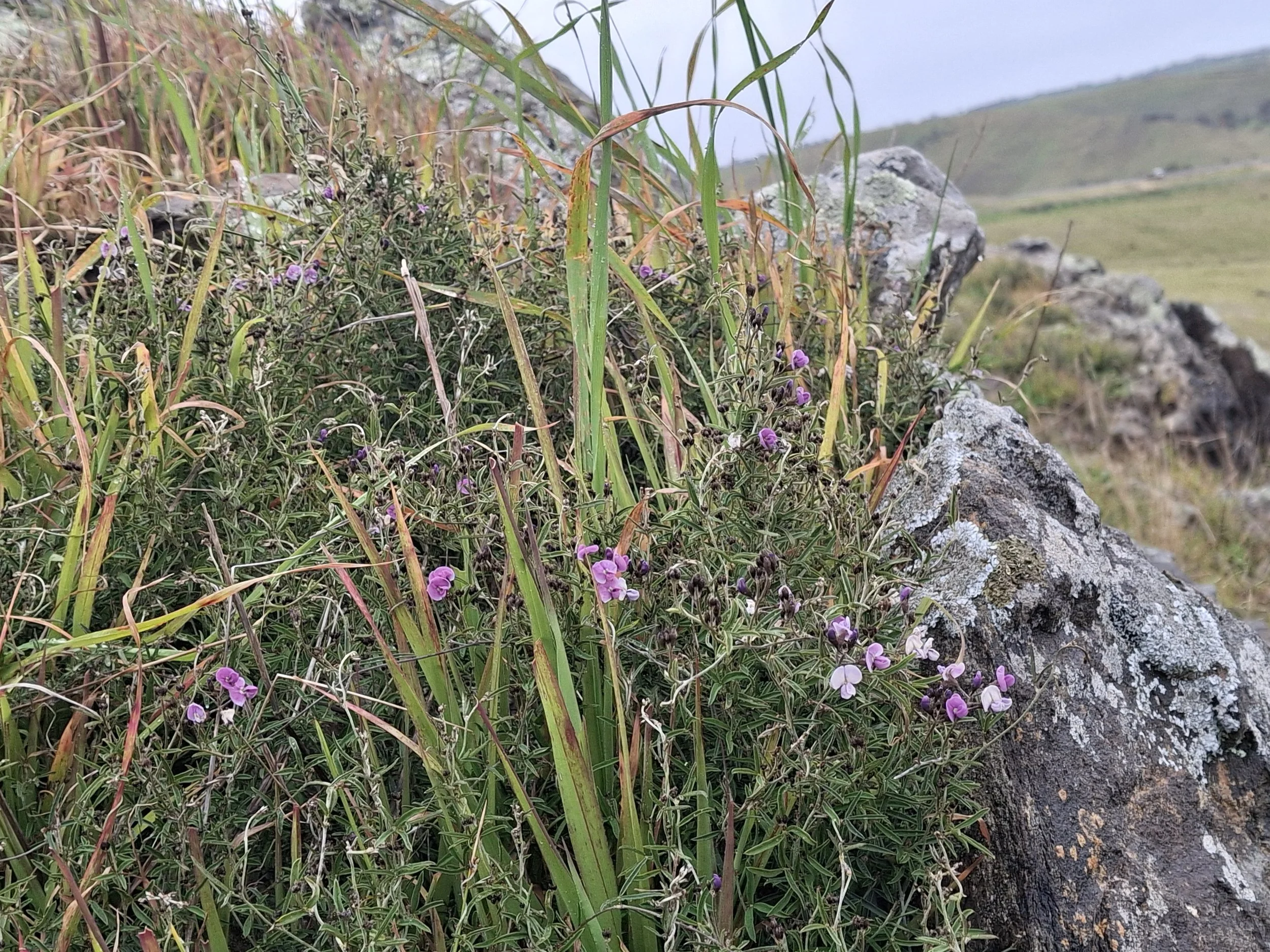 20260805_162303.jpg