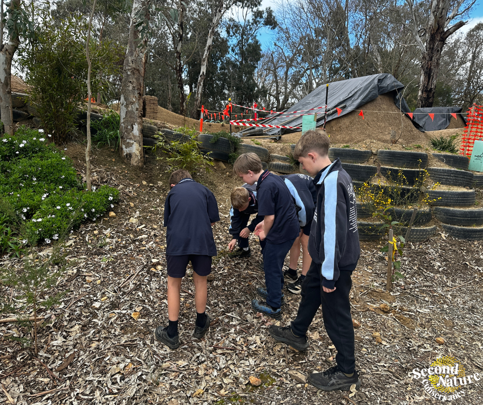 Habitat Assessment in Woodside