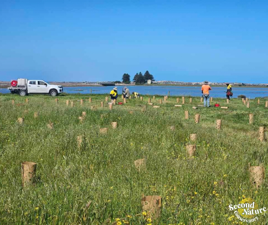 19,000 plants. That’s a LOT of holes to dig!