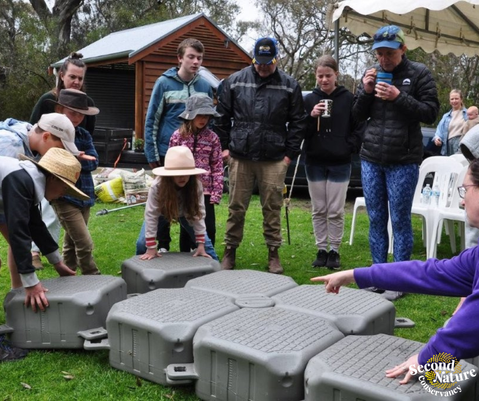 community-building-turtle-island.png