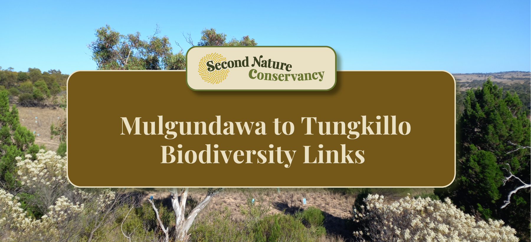 Mulgundawa to Tungkillo Biodiversity Links Project