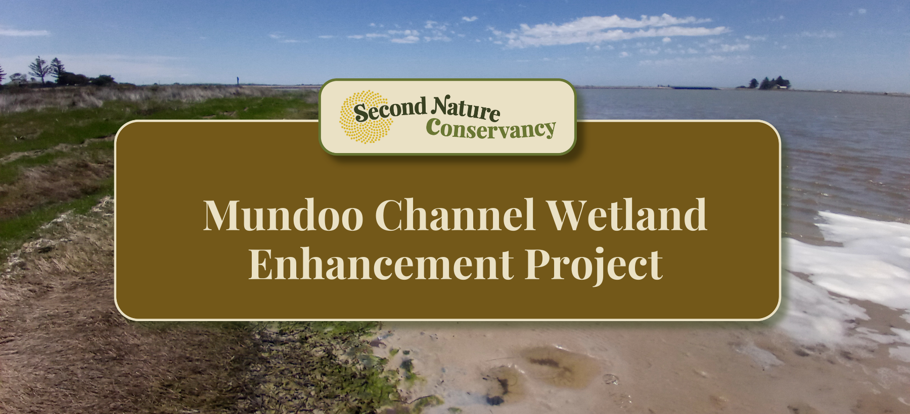 Mundoo Channel Wetland Enhancement