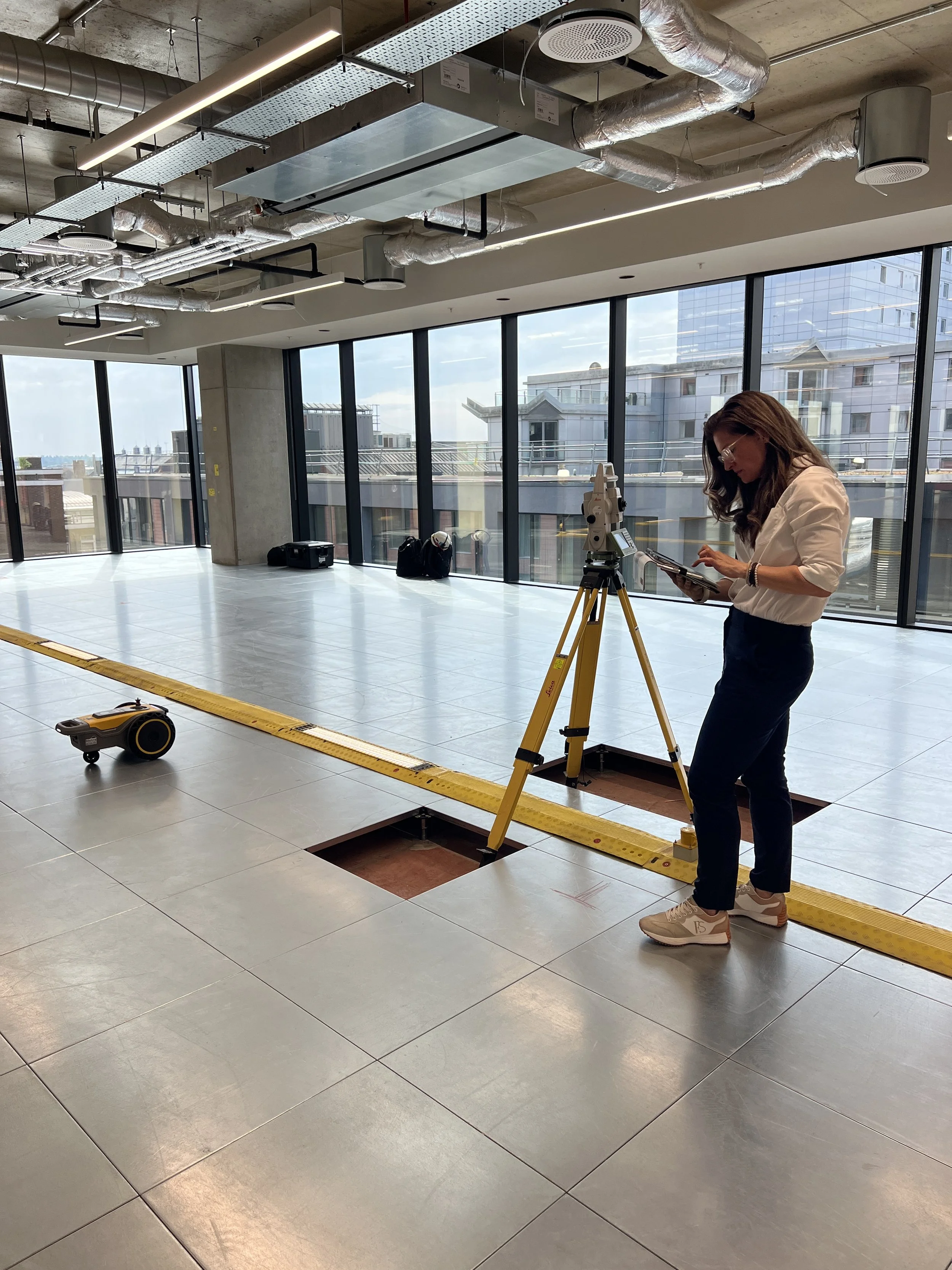 Buckingham Palace Road | Digital Layout with HP SitePrint