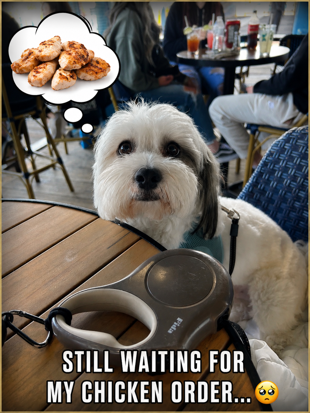 A white and gray dog sitting at a restaurant table with a parking lot or outdoor dining area in the background. The dog appears to be waiting patiently with a thought bubble containing grilled chicken pieces. The image includes the caption "STILL WAITING FOR MY CHICKEN ORDER..." with a sad face emoji.
